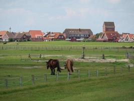 baltrum ö i de tysk norr hav foto