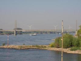 rees på de Rhen flod foto