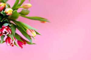 härlig pastell rosa tulpaner knippa, blommig gräns på ljus bakgrund, topp se. layout för springtime högtider. mor dag hälsning kort foto