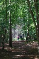 de ö av zingst foto