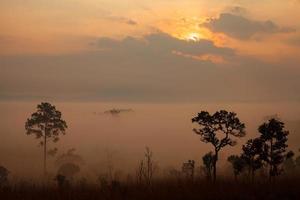 landskap dimma i morgon- soluppgång på sväng salang luang nationell parkera Phetchabun, Tung slang luang är gräsmark savann i thailand foto