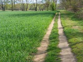 vandring i de dingdener heider foto