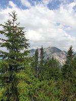 i de bavarian alps foto