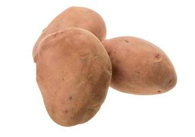 potatis på vit bakgrund foto