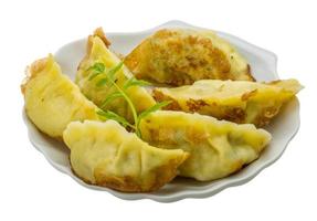 Japan dumplings - gyoza foto