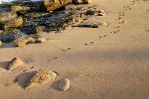 fotspår i de sand på de stränder av de medelhavs hav. foto