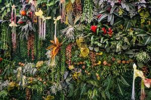 inuti av naturlig vetenskap museum i drottning sirikit botaniska trädgård på chiang mai stad thailand foto