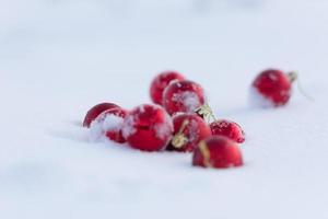 röd jul bollar i färsk snö foto