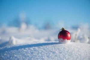 röd jul boll i färsk snö foto