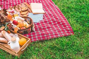 sommar picknick med en korg av mat på filt i de parkera. fri Plats för text foto