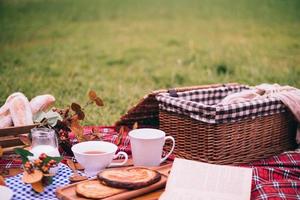 sommar picknick med en korg av mat på filt i de parkera. fri Plats för text foto