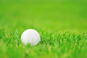 golf boll spel foto