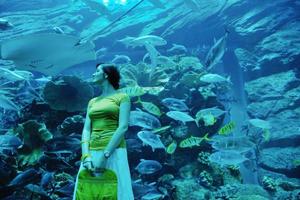 ung kvinna med stor akvarium i backgrond foto