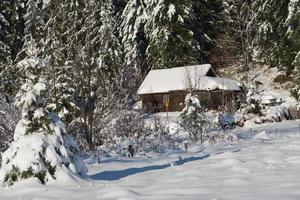 små trä- stuga i wildernes täckt med färsk snö foto