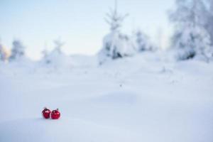 jul boll i snö foto