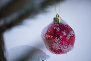 röd jul bollar i färsk snö foto