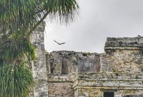 forntida tulumruiner Mayan plats tempelpyramider artefakter havslandskap mexico. foto