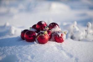 röd jul boll i färsk snö foto