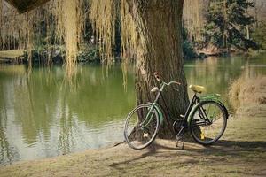 gammal cykel under en träd foto