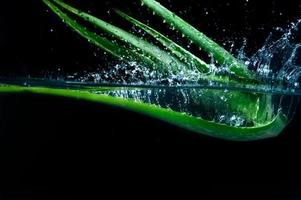 droppe aloe vera i färskt vatten