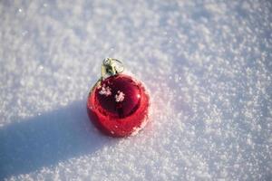 röd jul boll i färsk snö foto