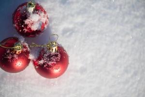 röd jul boll i färsk snö foto