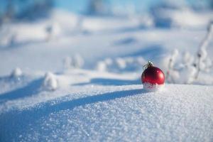 röd jul boll i färsk snö foto