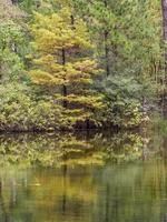 falla färger reflekterad i en damm i de skog. foto