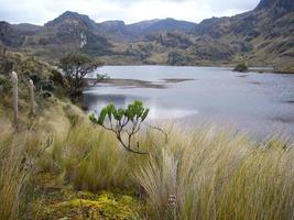 förbryllande landskap på el cajas nationell parkera i de andes av ecuador foto