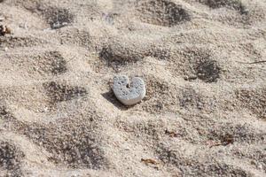 gammal hjärta formad skum den där var vänster på de sand i de värme av de Sol. foto