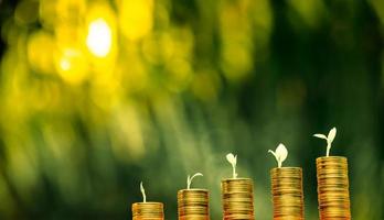 företag finansiera och pengar koncept, spara pengar för förbereda i de framtida.träd växande på mynt av stapling guld mynt med grön bokeh bakgrund foto