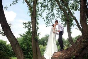 bruden och brudgummen på trädet foto