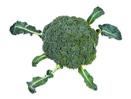 topp se av grön broccoli med löv isolerat foto