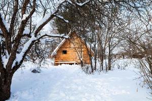 liten timmer stuga i snötäckt trädgård foto