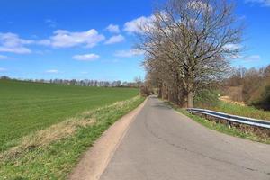 skön se på landsbygden vägar med fält och träd i nordlig Europa foto