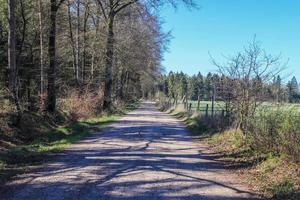 skön se på landsbygden vägar med fält och träd i nordlig Europa foto