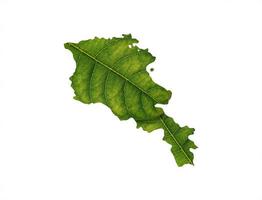 armenia Karta tillverkad av grön löv på jord bakgrund ekologi begrepp foto