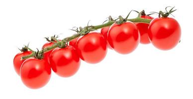 gren av mogen röd körsbär tomater isolerat foto