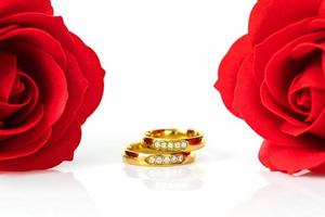 röda rosor och guldringar på vitt foto