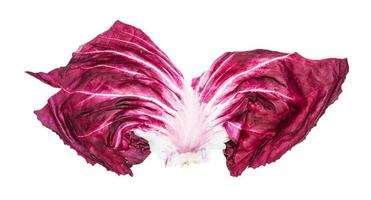 färsk blad av radicchio italiensk cikoria isolerat foto