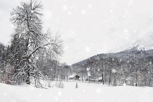 vinter- snöig bavarian alpina landskap foto