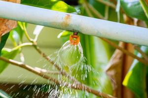 trädgård sprinkler vatten bevattning systemet foto