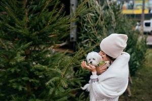 kvinna med en vit hund i henne vapen nära en grön jul träd foto