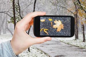 bild av fallen löv i snö i urban parkera foto