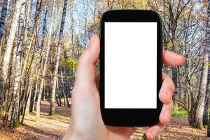 smartphone med skära ut skärm och höst skog foto