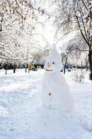 snögubbe i offentlig trädgård i vinter- dag foto