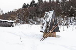 väl på de kant av de skog i ryska by foto