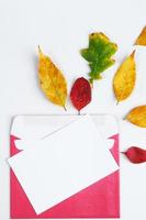höstlägenhet låg. kuvert med ett tomt gratulationskort och nedfallna gula löv på vit bakgrund. foto