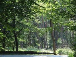 Raesfeld, Tyskland, 2020-the slott av raesfeld i Tyskland foto