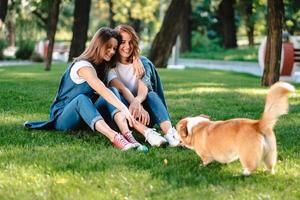 två kvinna vän i de parkera spela med liten hund foto